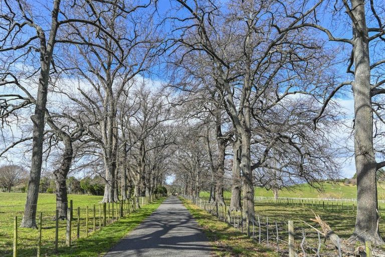 Photo of property in 543 Raukawa Road, Raukawa, 4174