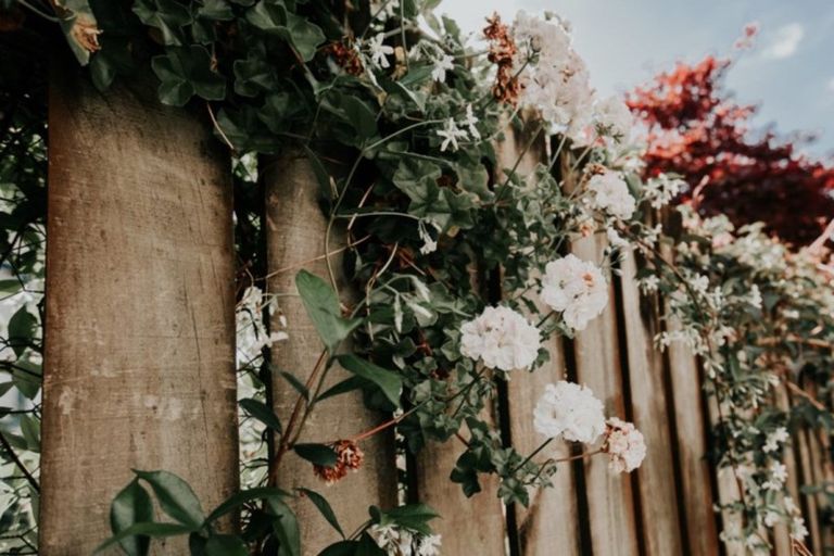 Photo of property in 70a Sutherland Road, Brookfield, Tauranga, 3110