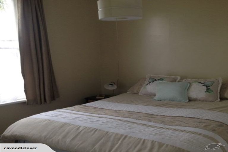 Photo of property in 141 Portia Street, Stratford, 4332