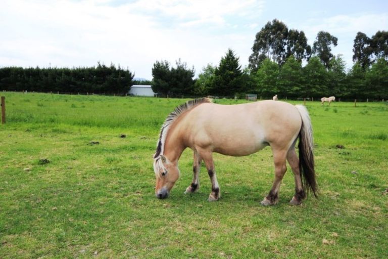 Photo of property in 279 School Road, West Eyreton, Rangiora, 7475