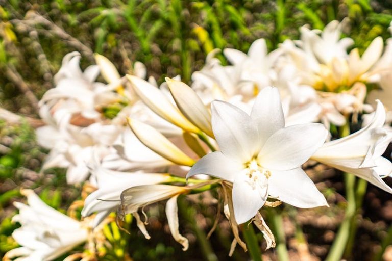 Photo of property in 64b Jack Boyd Drive, Mangawhai Heads, Kaiwaka, 0573