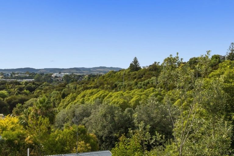 Photo of property in 10b Coventry Street, Judea, Tauranga, 3110