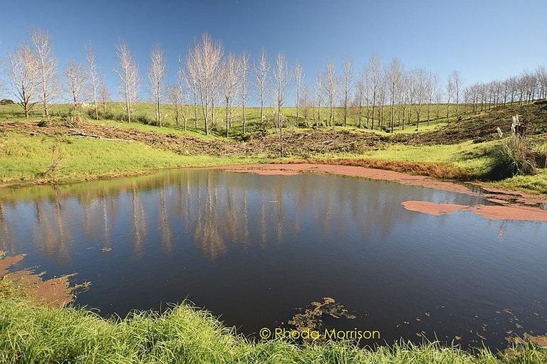 Photo of property in 186 Metcalfe Road, Ranui, Auckland, 0612