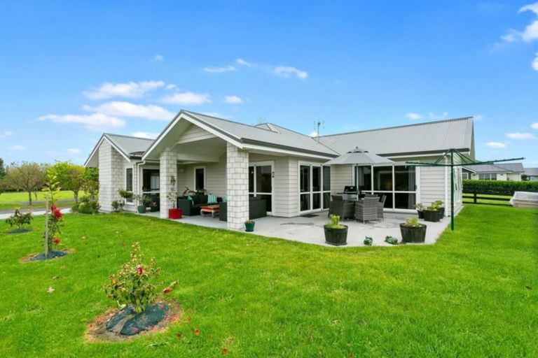 Photo of property in 8 Oakfield Close, Matamata, 3400