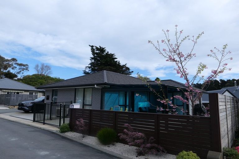 Photo of property in 19 Rongomau Lane, Raumati South, Paraparaumu, 5032