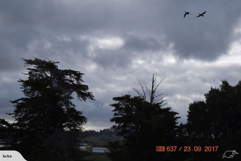 Photo of property in 166 Top Road, Dairy Flat, 0792