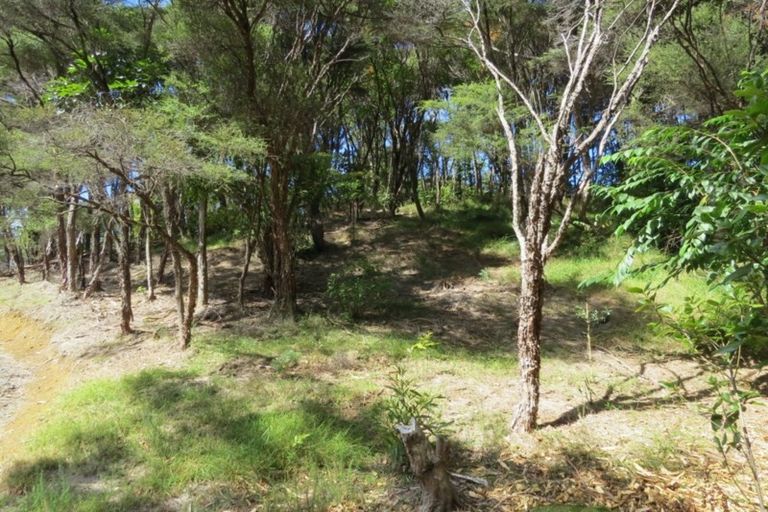 Photo of property in 395a Driving Creek Road, Coromandel, 3506
