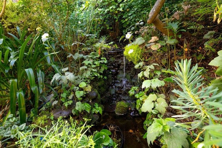 Photo of property in 5 Allan Street, Nelson South, Nelson, 7010