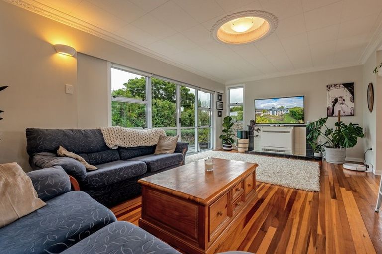 Photo of property in 132 Limbrick Street, Terrace End, Palmerston North, 4410
