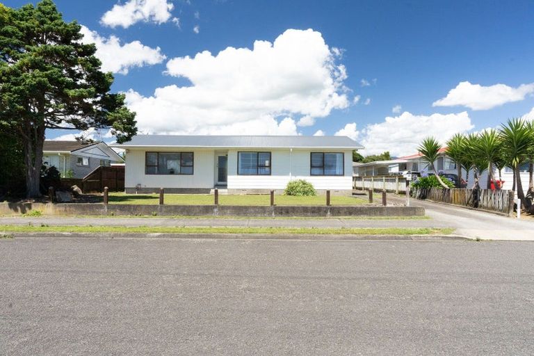 Photo of property in 33 Solway Street, Levin, 5510