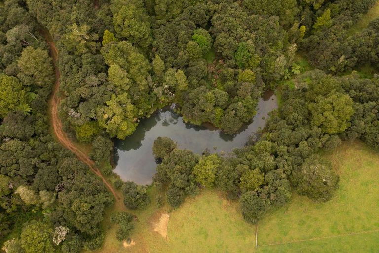 Photo of property in 382 Kukunui Road, Springfield, Whangarei, 0178