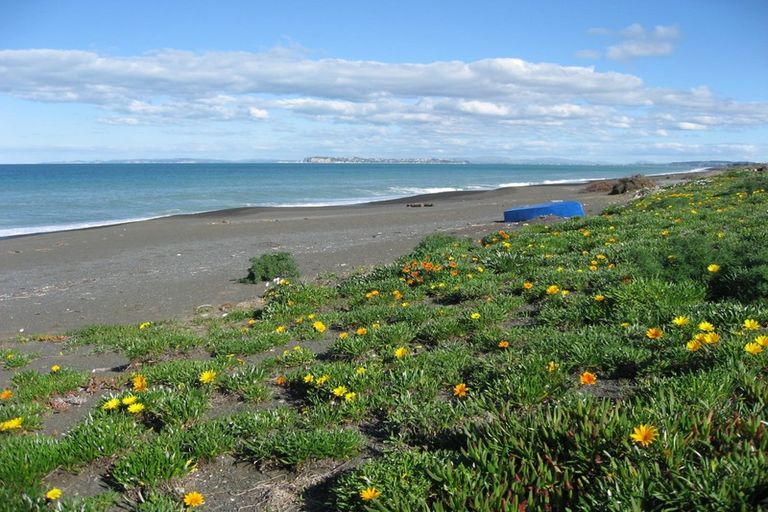 Photo of property in 220 Whirinaki Road, Eskdale, Napier, 4182