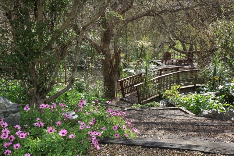 Photo of property in 91d Greenslade Road, Raglan, 3295