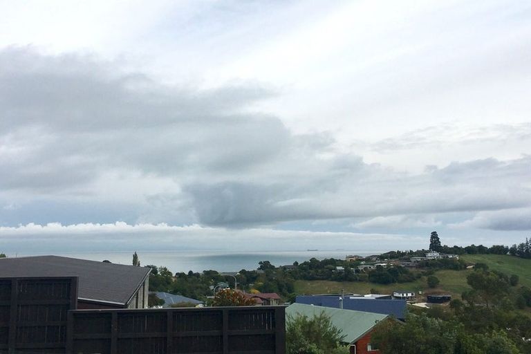 Photo of property in 20 Laval Heights, Washington Valley, Nelson, 7010