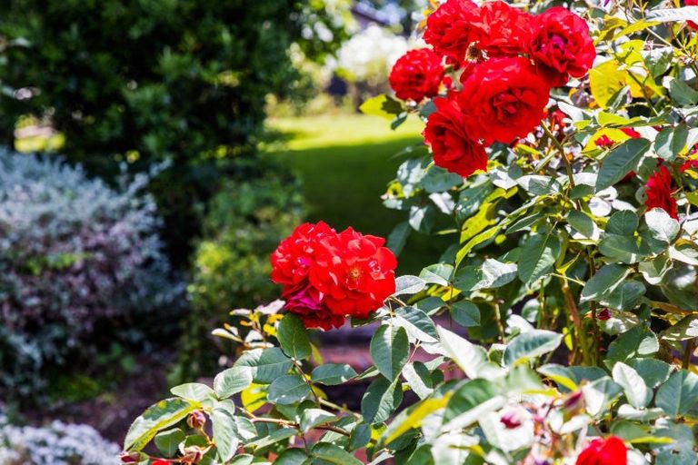 Photo of property in 48 Kairau Road West, Sentry Hill, New Plymouth, 4373