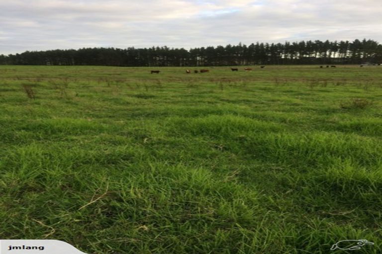 Photo of property in 32 Parore Road West, Parore, Dargaville, 0372