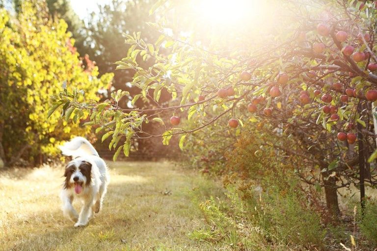 Photo of property in 65 Butterfield Road, Hawea Flat, 9382