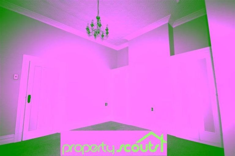 Photo of property in 8 Allandale Road, Saint Clair, Dunedin, 9012