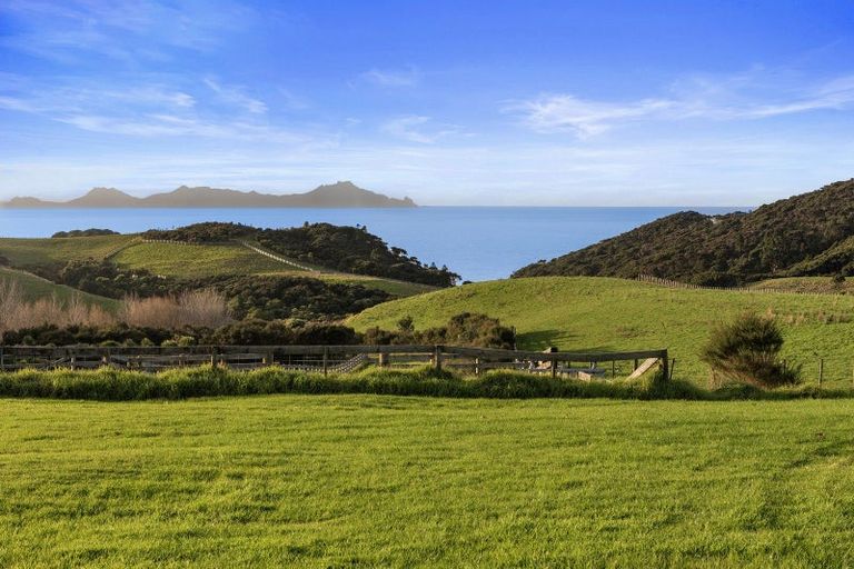 Photo of property in 12 Tuaraki Road, Mangawhai Heads, Mangawhai, 0505