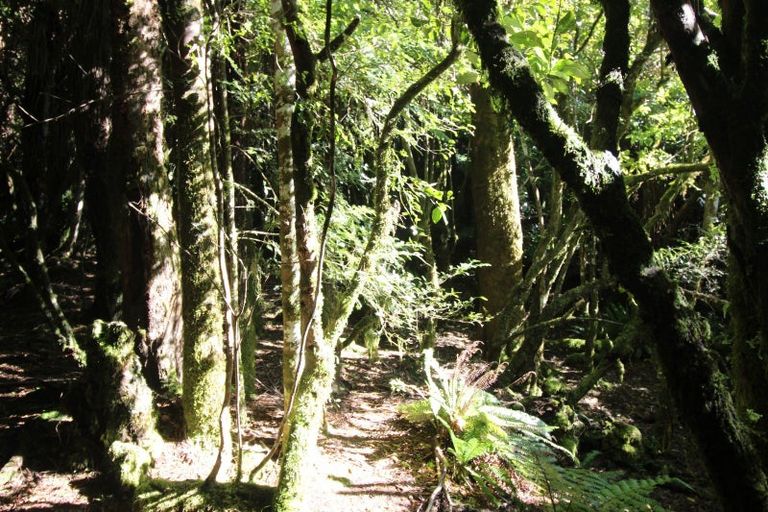 Photo of property in 552 Cuff Road, Erua, Owhango, 3990