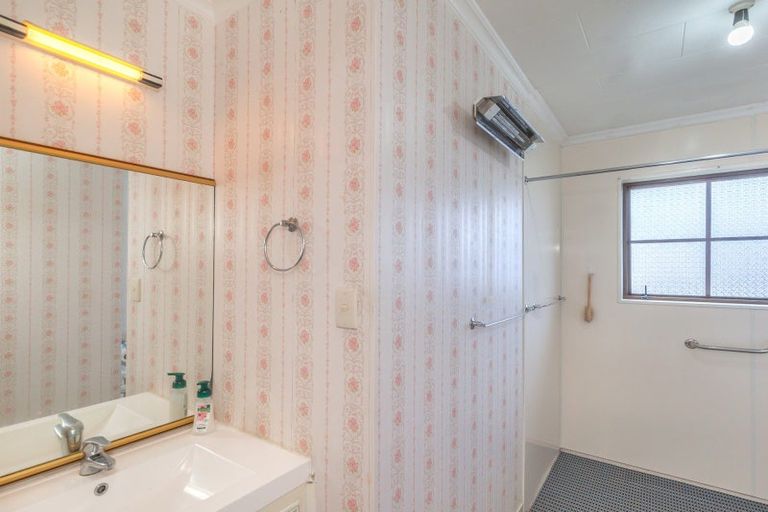 Photo of property in 102 Winchester Street, Levin, 5510