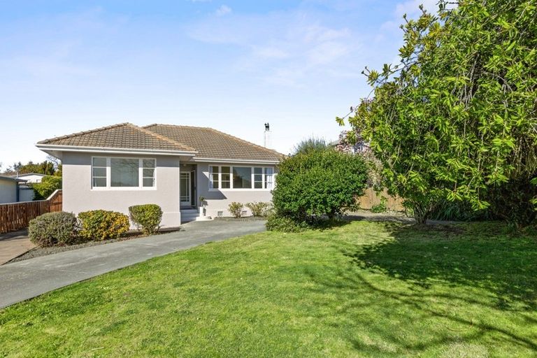 Photo of property in 12 Mchardy Street, Havelock North, 4130