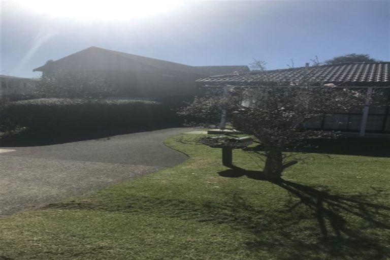 Photo of property in 71a Campbell Road, Mount Maunganui, 3116