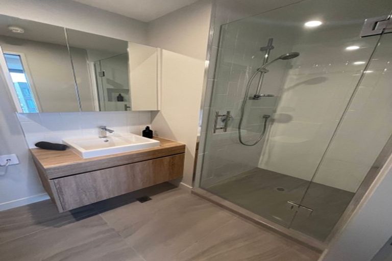 Photo of property in Pinnacle On Victoria, 1102/160 Victoria Street, Te Aro, Wellington, 6011