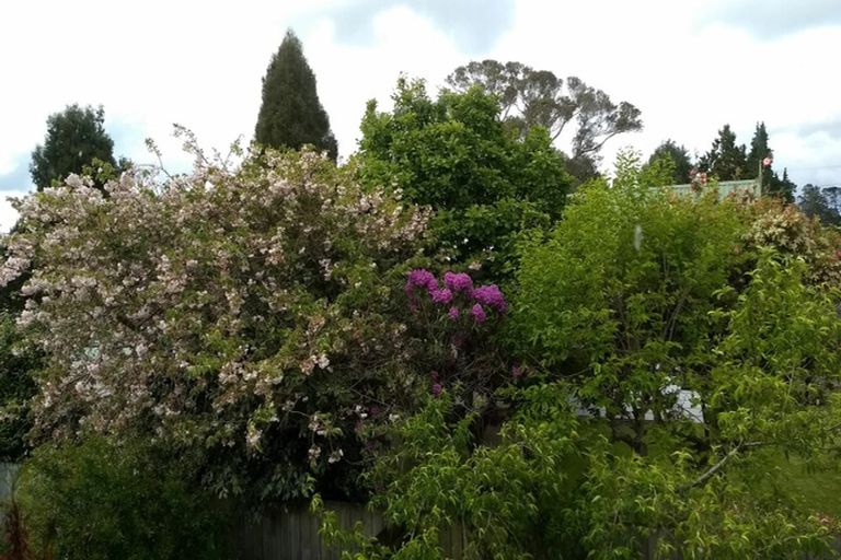 Photo of property in 15 Black Road, Paengaroa, Te Puke, 3189