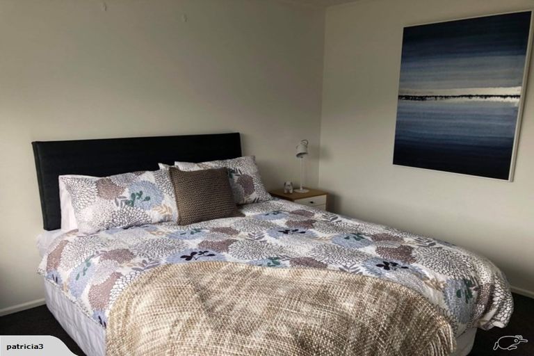 Photo of property in 46 Perriam Place, Mount Pisa, Cromwell, 9383