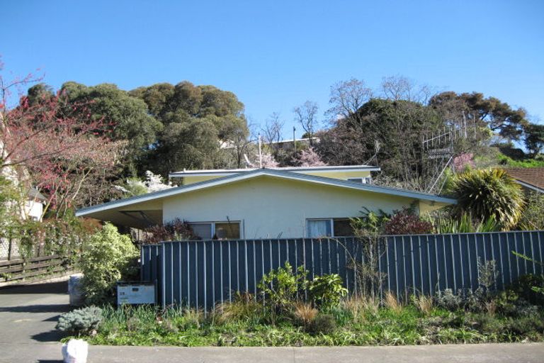 Photo of property in 28b Von Dadelszen Place, Havelock North, 4130