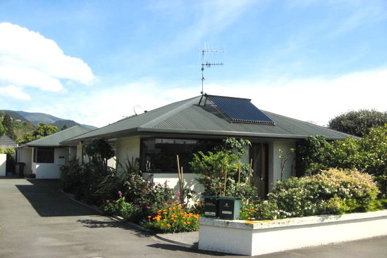 Photo of property in 250a Bridge Street, The Wood, Nelson, 7010