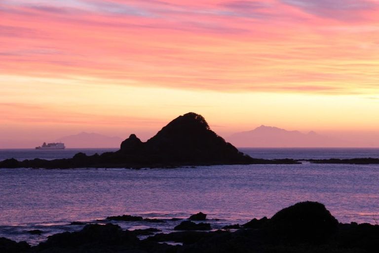 Photo of property in 156 The Esplanade, Houghton Bay, Wellington, 6023