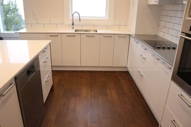 Photo of property in 1/8 Merlin Street, Roslyn, Dunedin, 9010