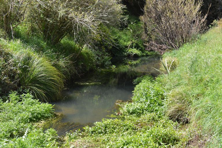 Photo of property in 27 Purakau Road, Maunu, Whangarei, 0110
