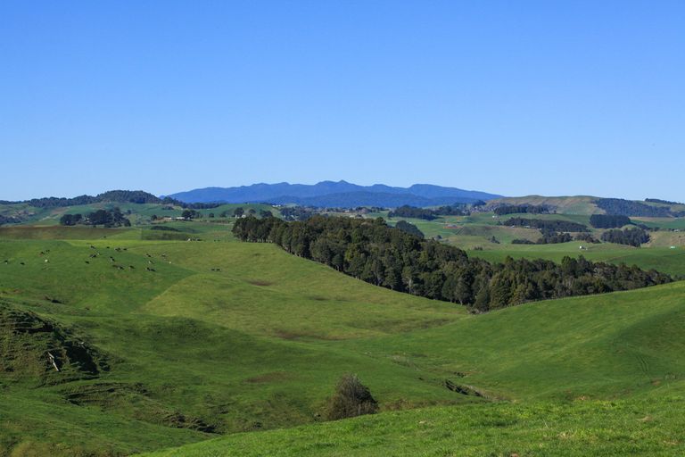 Photo of property in 397 Ruapuke Road, Raglan, 3296