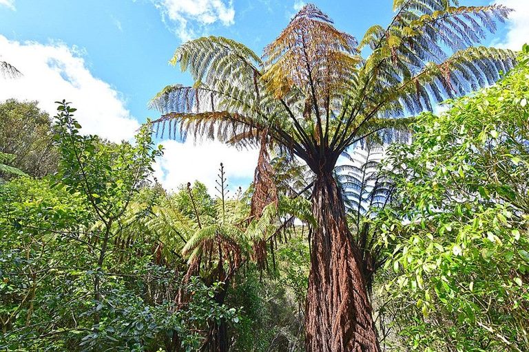 Photo of property in 52 Lord Street, Stokes Valley, Lower Hutt, 5019