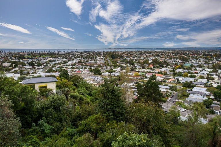 Photo of property in 1 Delhi Road, Hospital Hill, Napier, 4110