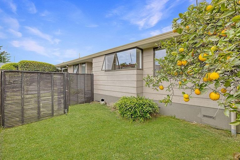 Photo of property in 42a Weld Street, Cambridge, 3434