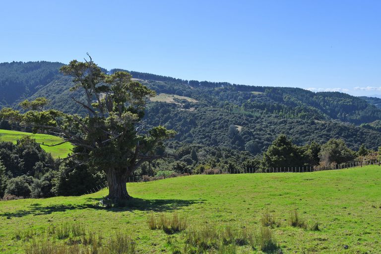 Photo of property in 128 Schollum Road, Big Omaha, Warkworth, 0985