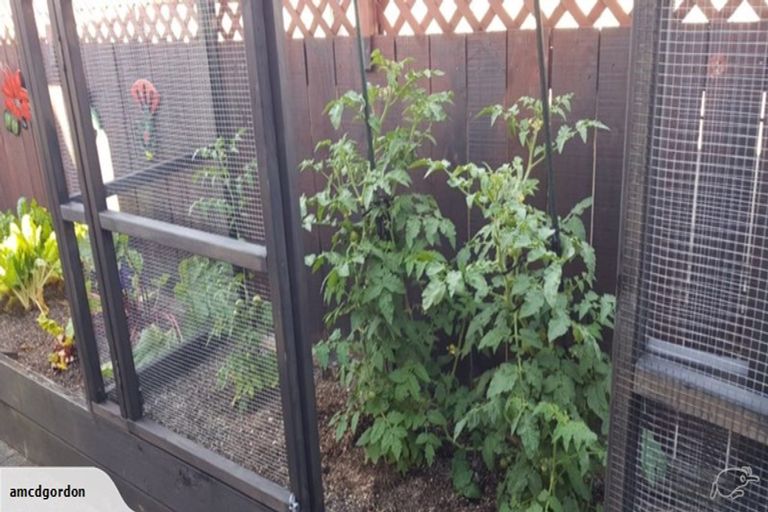 Photo of property in 3/262 Centreway Road, Orewa, 0931