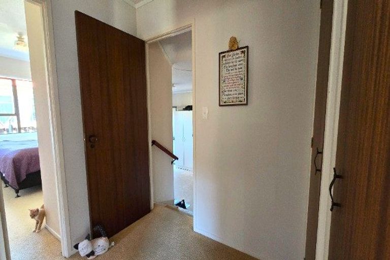 Photo of property in 308b Queen Sh25 Street, Thames, 3500