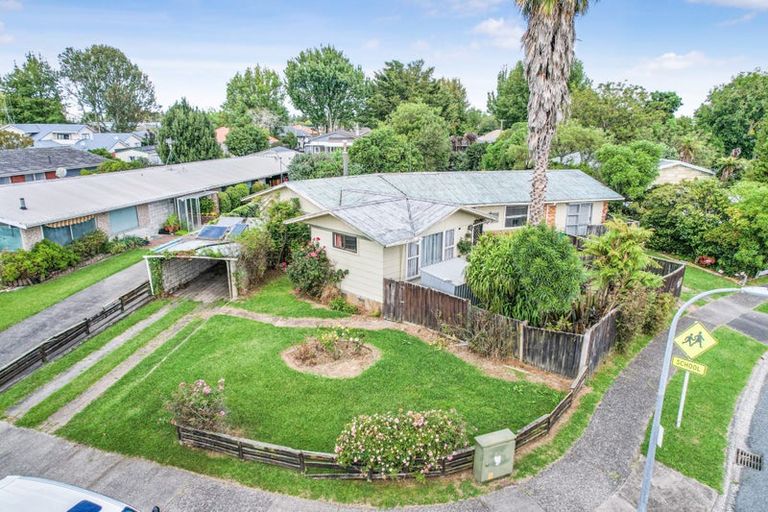 Photo of property in 19 Patricia Avenue, Hamilton East, Hamilton, 3216