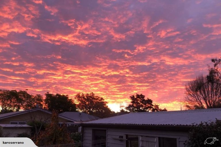 Photo of property in 14 Brook Street, The Brook, Nelson, 7010