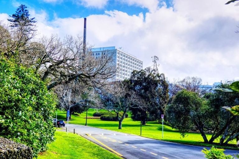 Photo of property in 12b Domain Drive, Parnell, Auckland, 1052