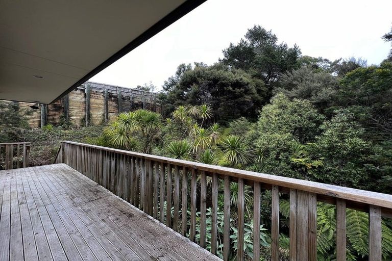 Photo of property in 45 Condor Place, Unsworth Heights, Auckland, 0632