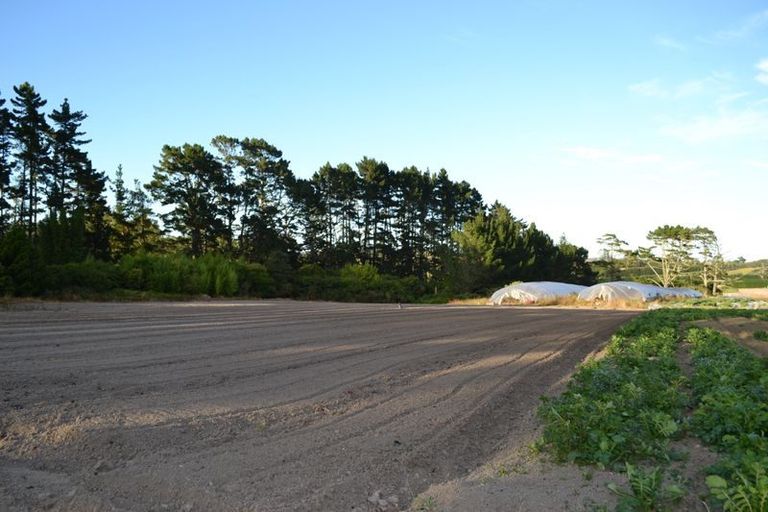 Photo of property in 10 Hailes Road, Whenuapai, Auckland, 0814