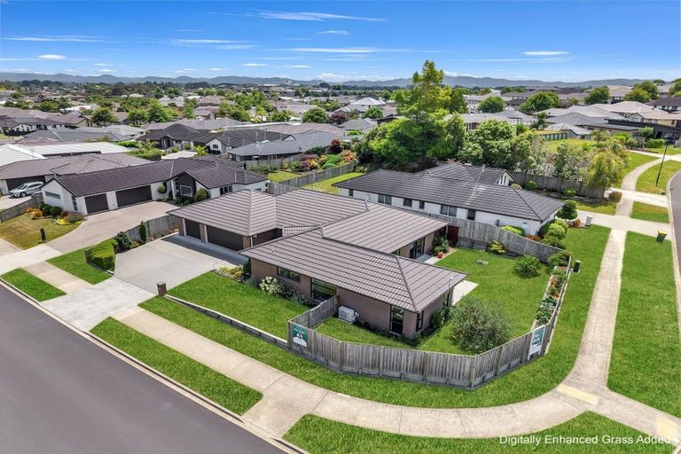 Photo of property in 80 Cumberland Drive, Flagstaff, Hamilton, 3210