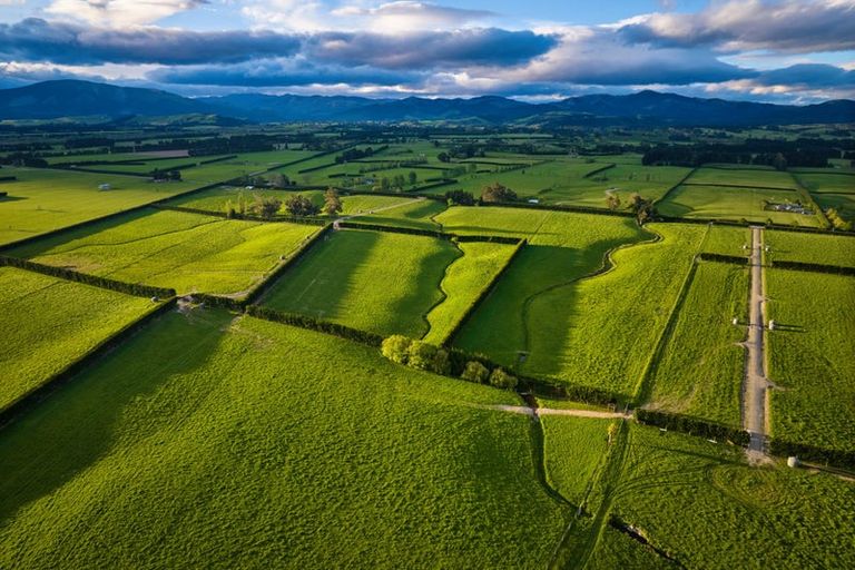 Photo of property in 105 Chapel Road, Loburn, 7472