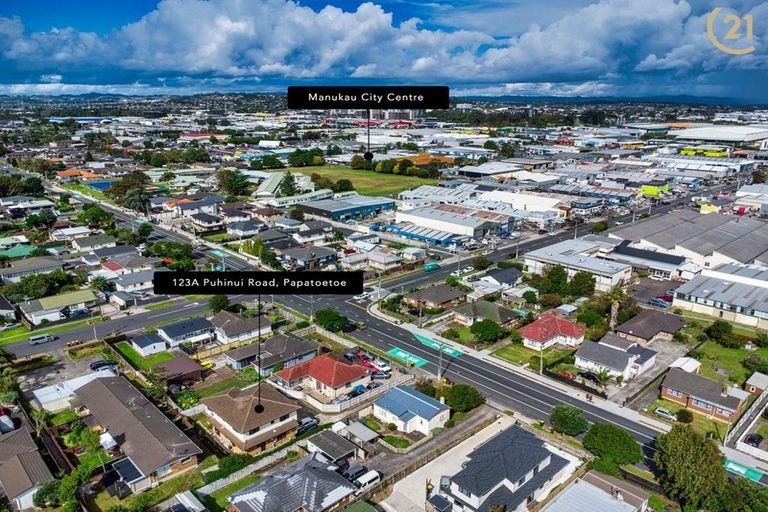 Photo of property in 123 Puhinui Road, Papatoetoe, Auckland, 2104